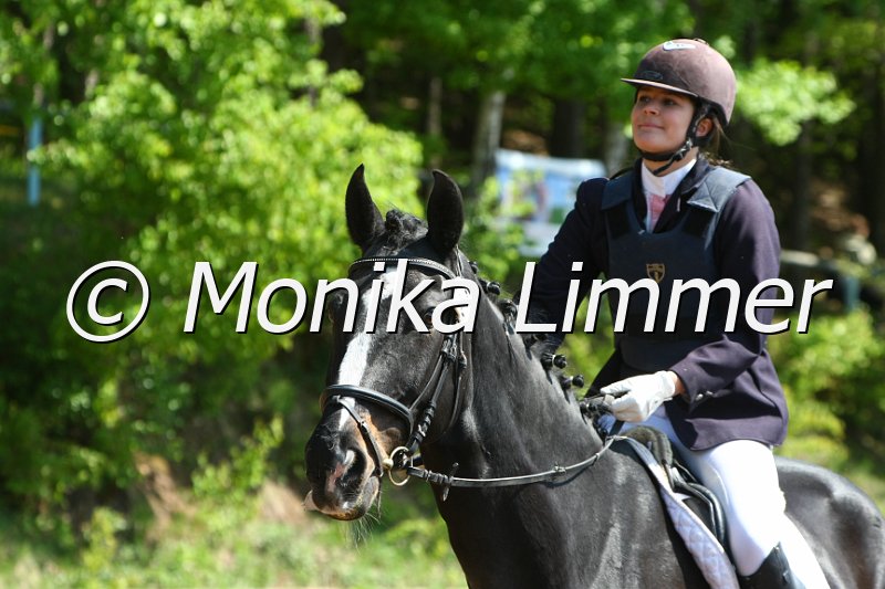 104M8191_SpringWB E.JPG